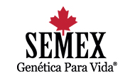 clientes_0002_semex